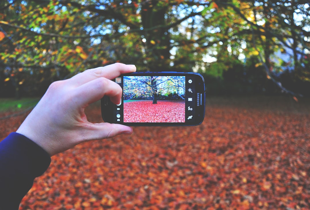 smartphone gallery photo storage