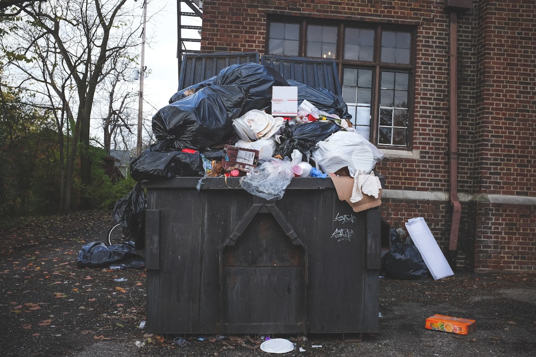 deleted photo recovery trash