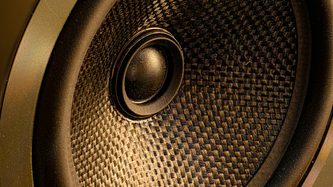 speaker sound noise distortion