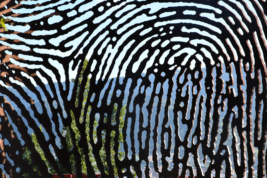 biometric authentication fingerprint security
